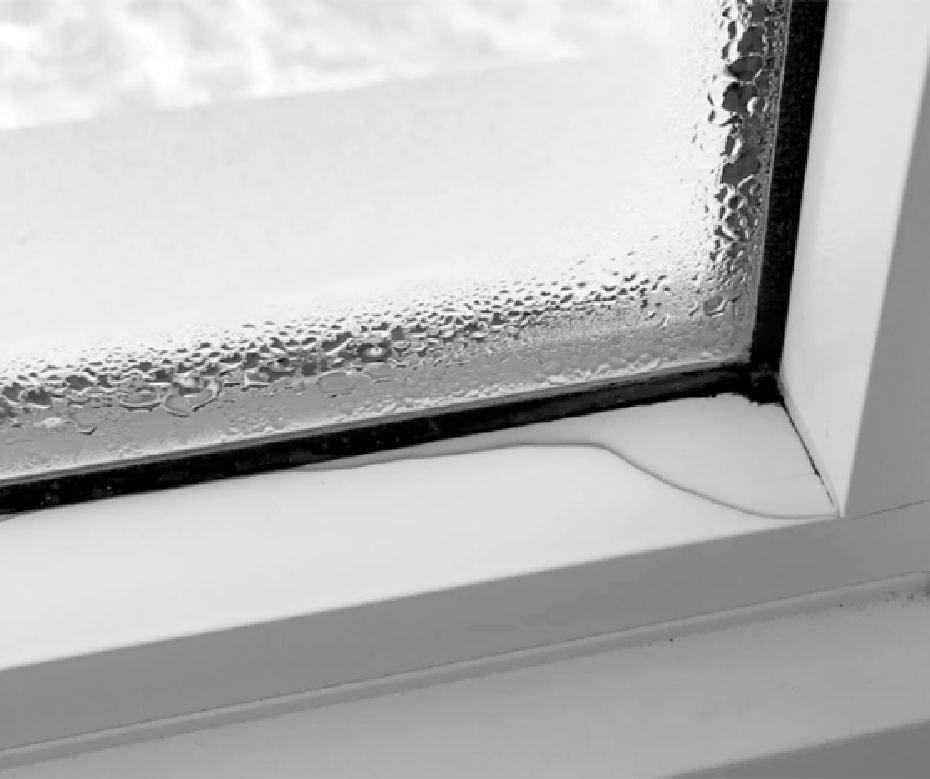 Condensation on your windows Butterwick Construction Edmonton Net Zero Builder